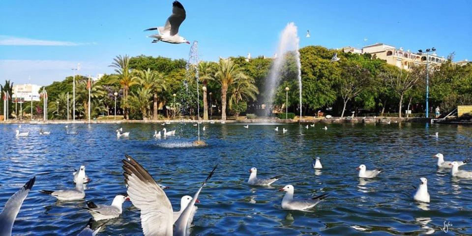 Torrevieja Experience Atico 1ª Linea Apartment Ngoại thất bức ảnh